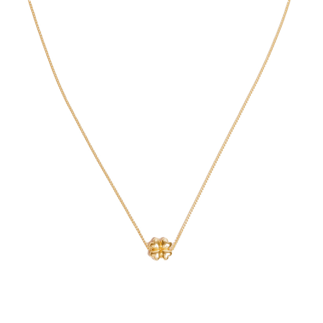 CLOVER STB