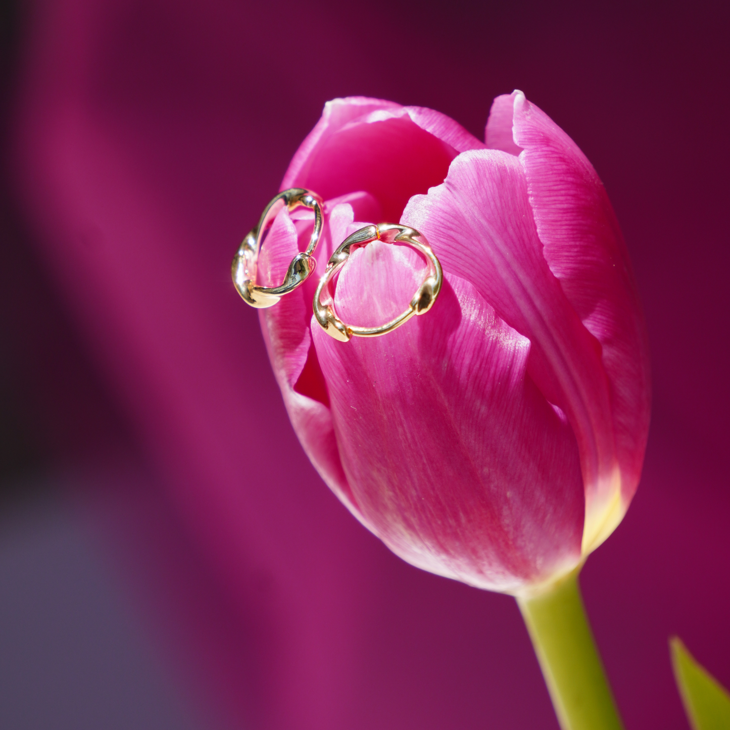 STB EARRINGS, ⁠AUREA TWIST GOLD