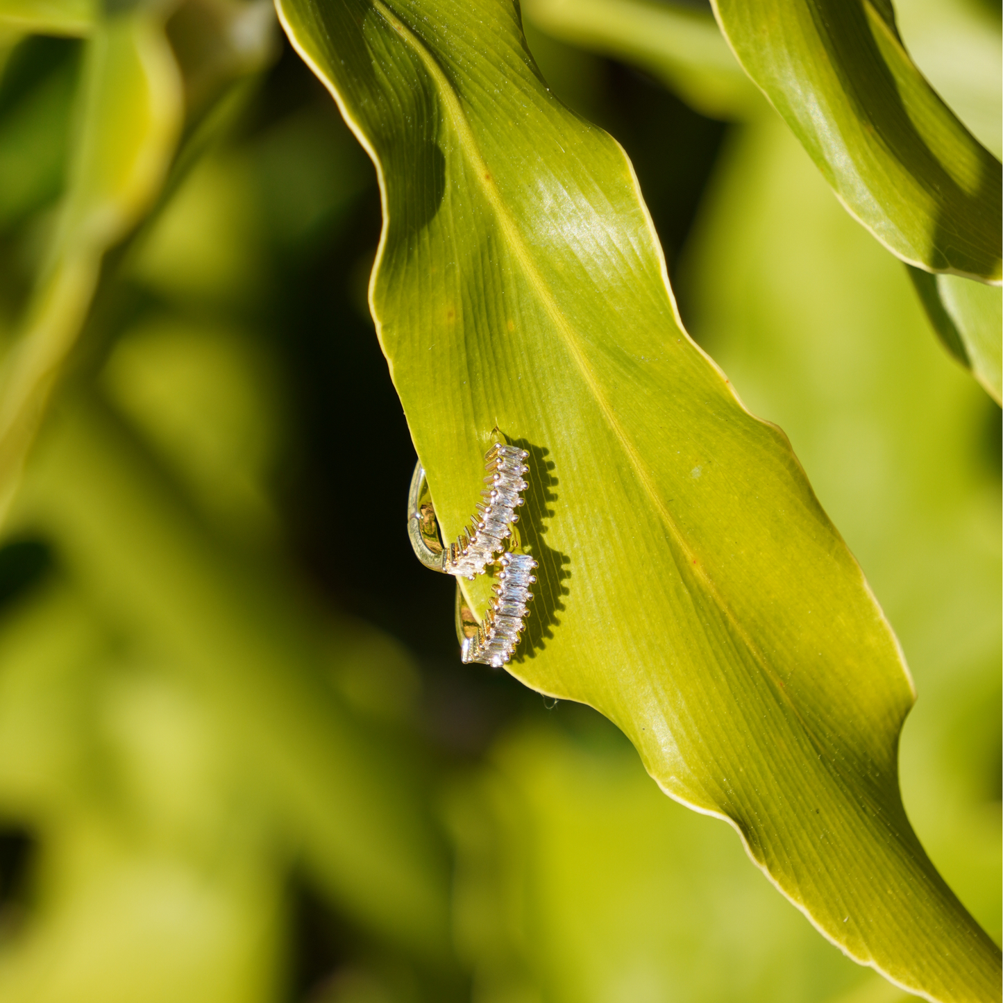 STB EARRINGS, ⁠LUMI HOOPS